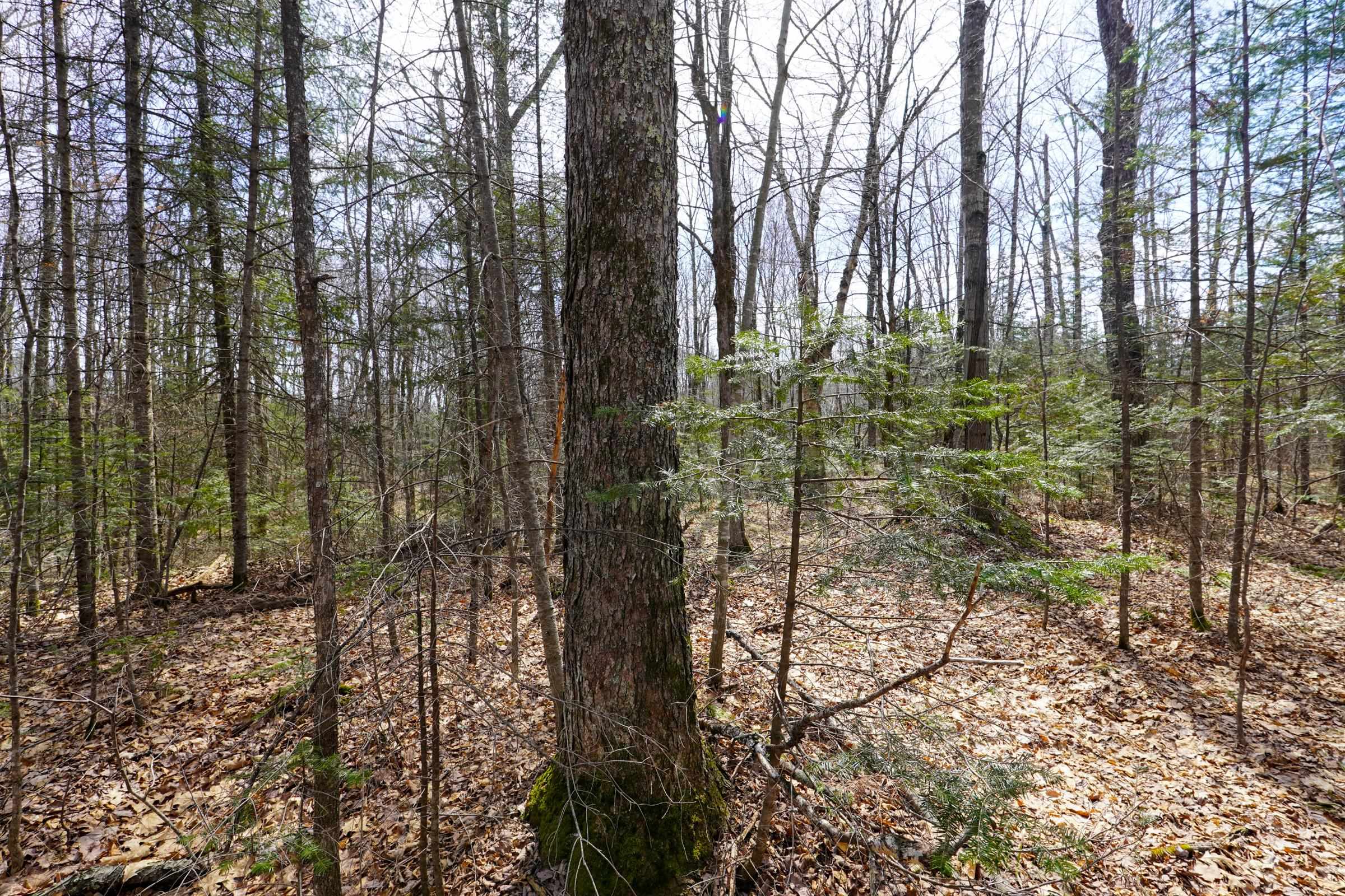 N8584 County Road E Property Photo 27