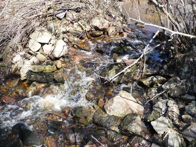 N8879 Dickerson Avenue Property Photo 14