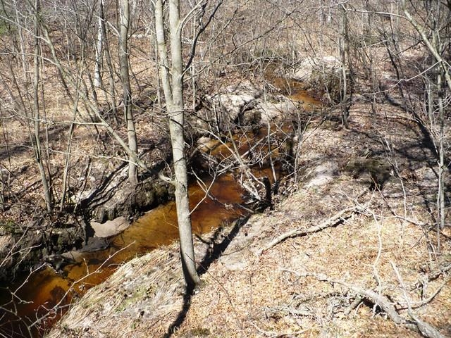 N8879 Dickerson Avenue Property Photo 16