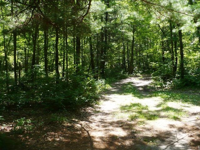 N8879 Dickerson Avenue Property Photo 21