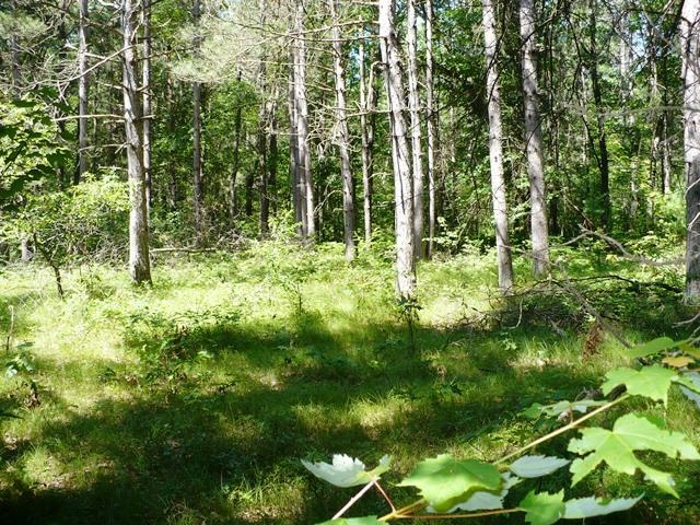 N8879 Dickerson Avenue Property Photo 23