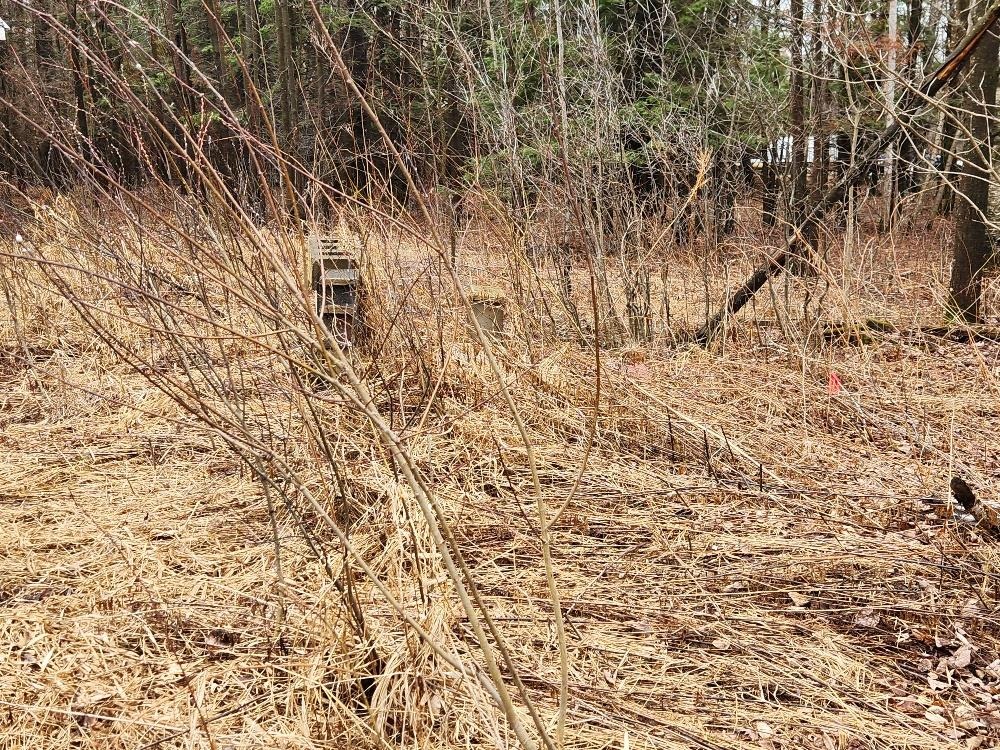 W10582 Carpenter Road Property Photo 2