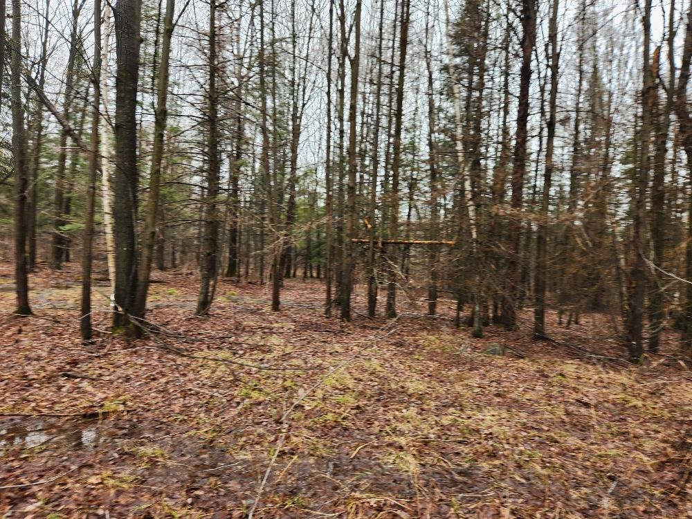 W10582 Carpenter Road Property Photo 3