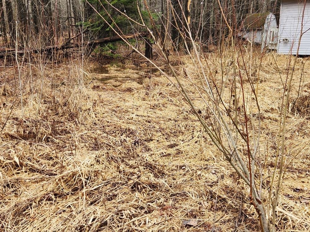 W10582 Carpenter Road Property Photo 9