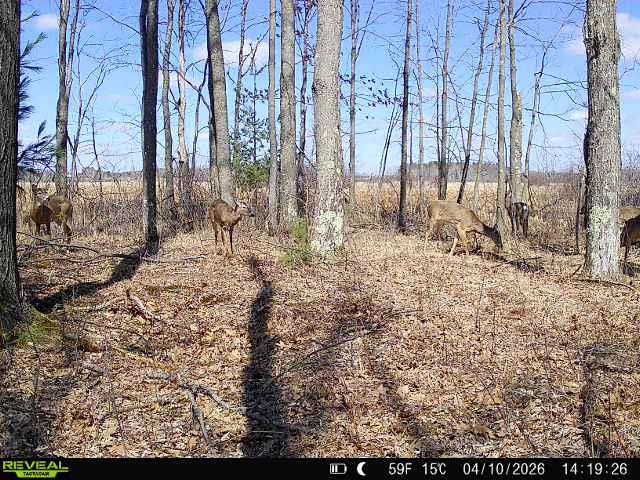 21 Acres Property Photo 1