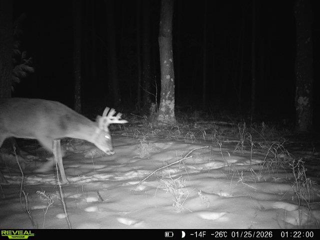 21 Acres Property Photo 2
