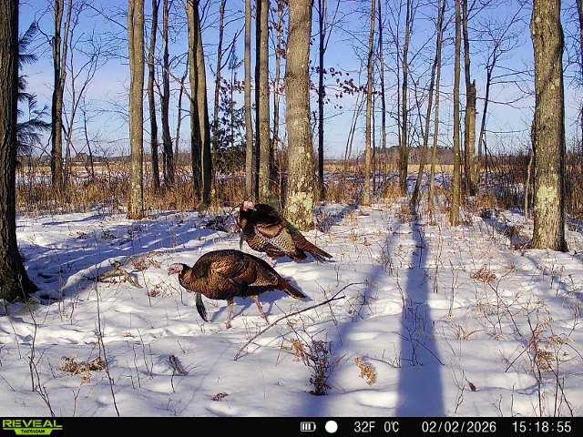 21 Acres Property Photo 3