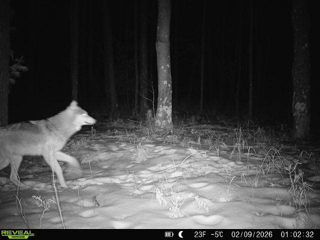 21 Acres Property Photo 6