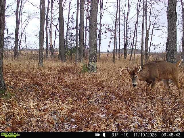 21 Acres Property Photo 7