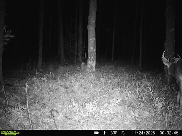 21 Acres Property Photo 9