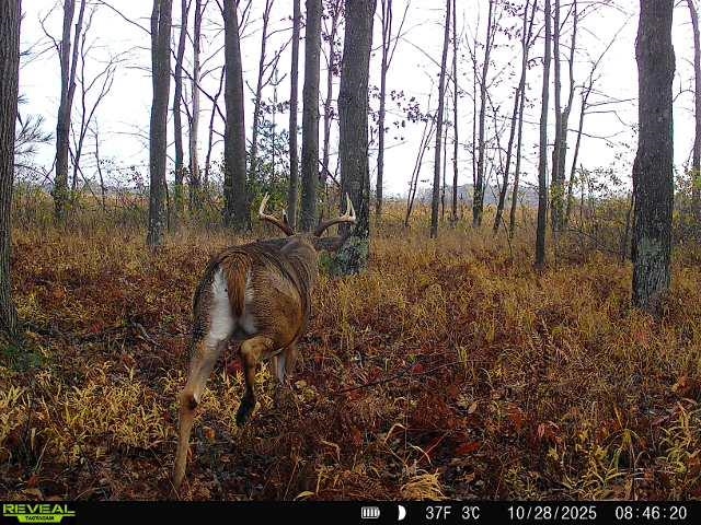 21 Acres Property Photo 10