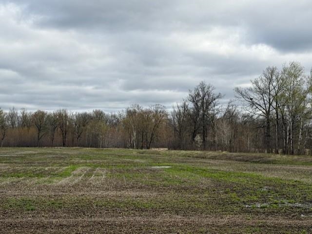 62 Acres State Highway 54 Property Photo 4