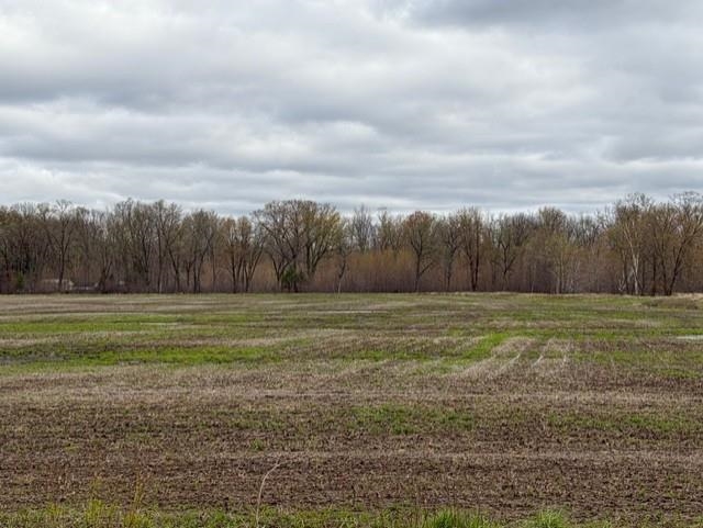 62 Acres State Highway 54 Property Photo 5