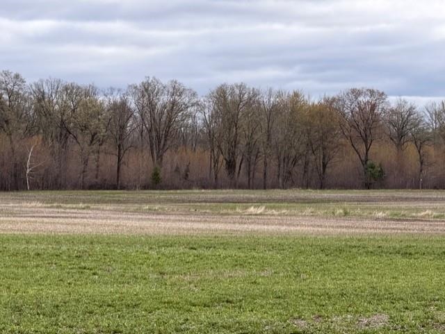 62 Acres State Highway 54 Property Photo 6