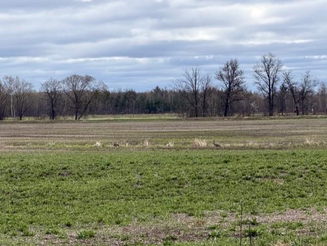 62 Acres State Highway 54 Property Photo 8