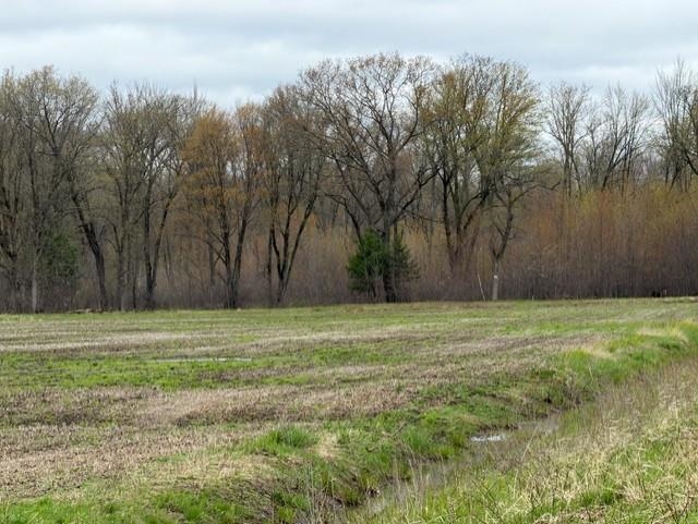 62 Acres State Highway 54 Property Photo 10