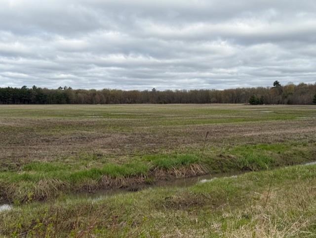 62 Acres State Highway 54 Property Photo 12