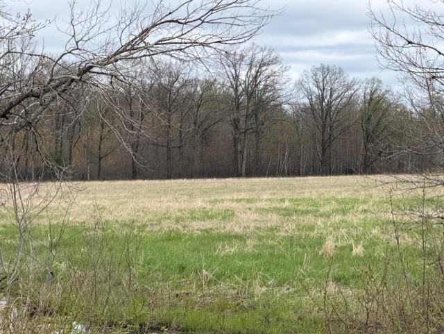 23 Acres State Highway 54 Property Photo 3