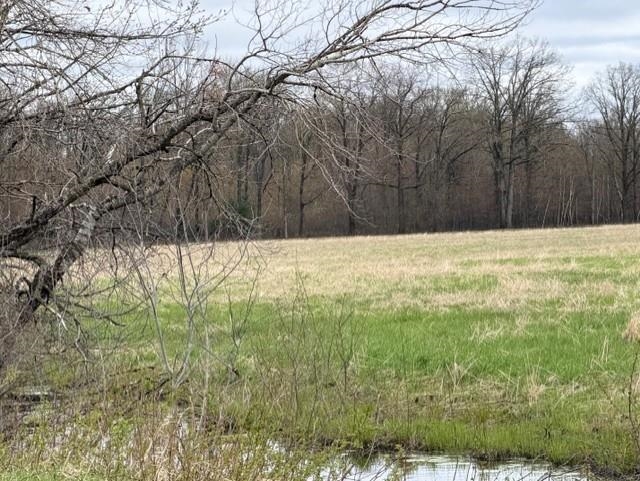 23 Acres State Highway 54 Property Photo 5