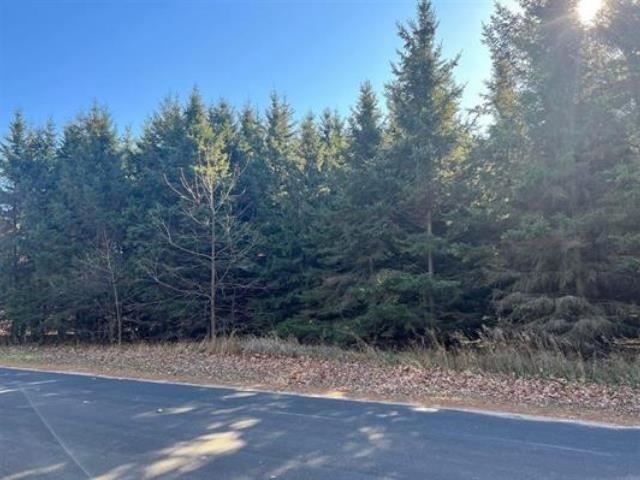2.19 Acres Riverview Drive Property Photo 2
