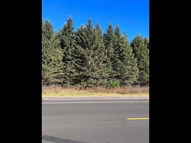 2.19 Acres Riverview Drive Property Photo 3