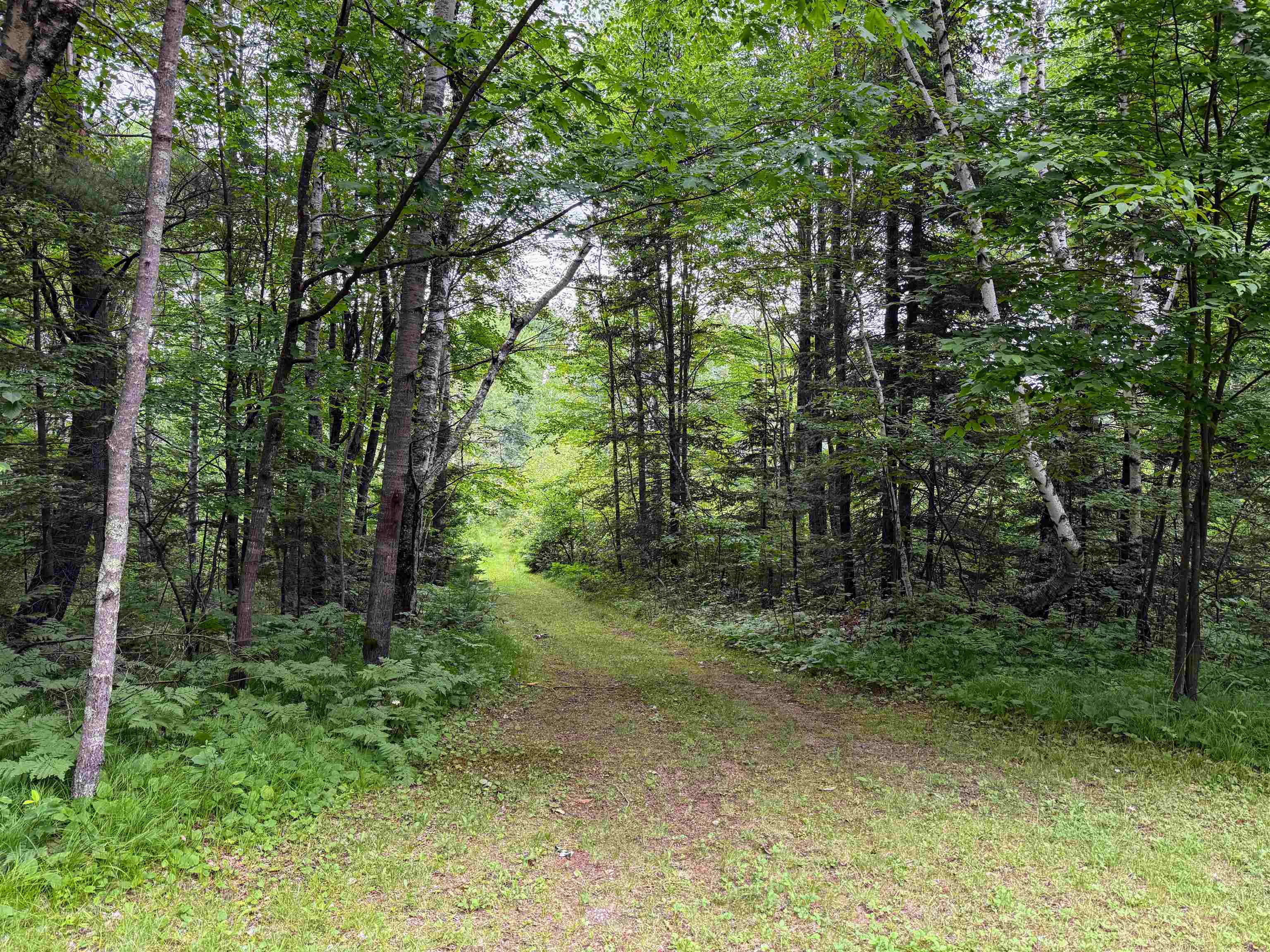 N9078 E Soo Lake Road Property Photo 6