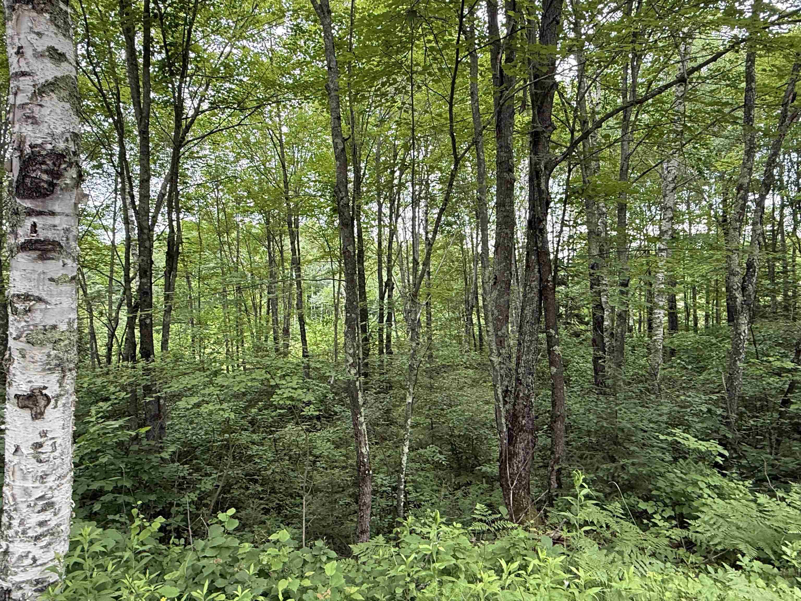 N9078 E Soo Lake Road Property Photo 7