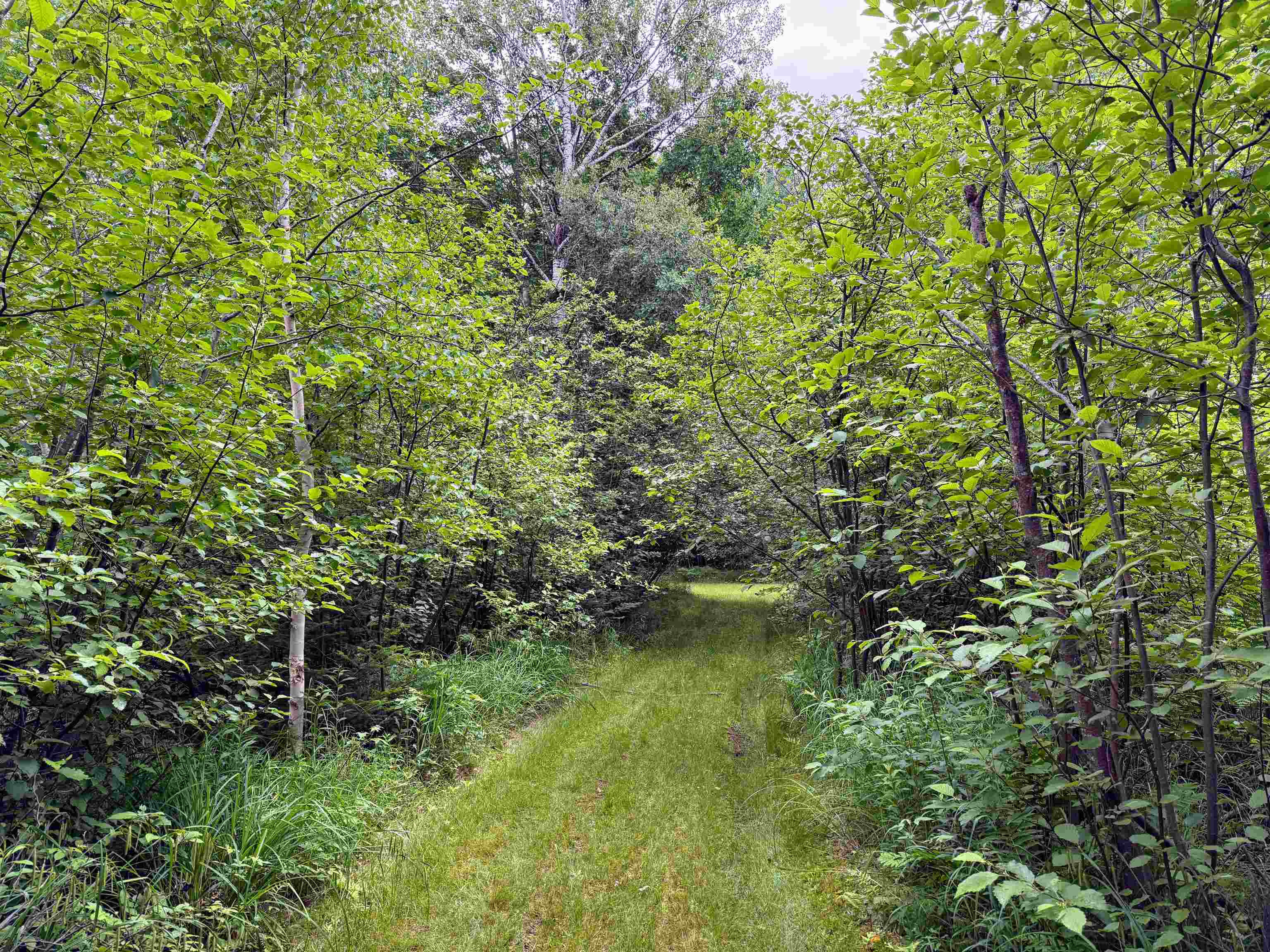 N9078 E Soo Lake Road Property Photo 12
