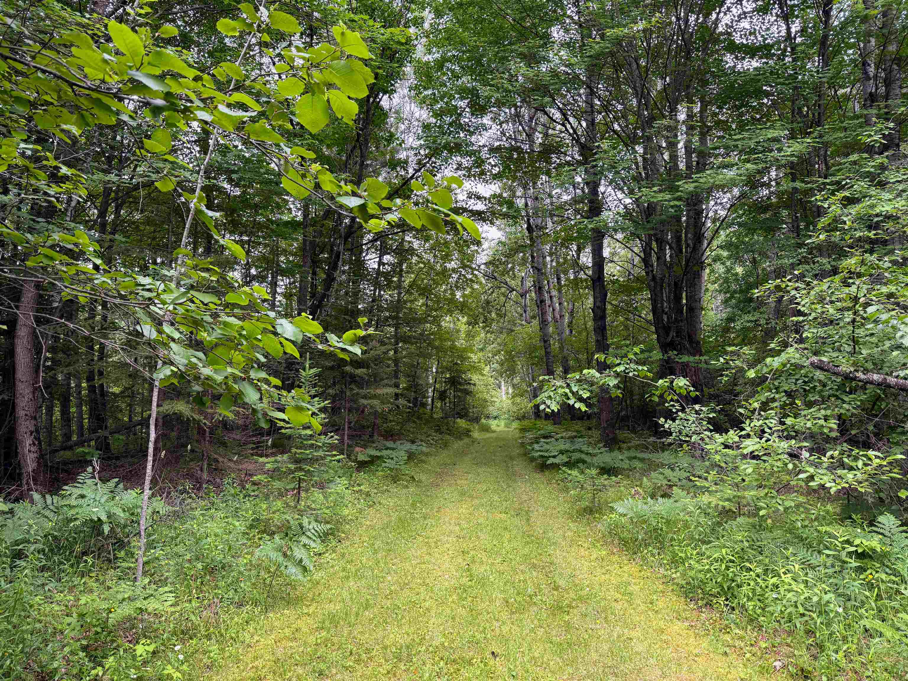 N9078 E Soo Lake Road Property Photo 14
