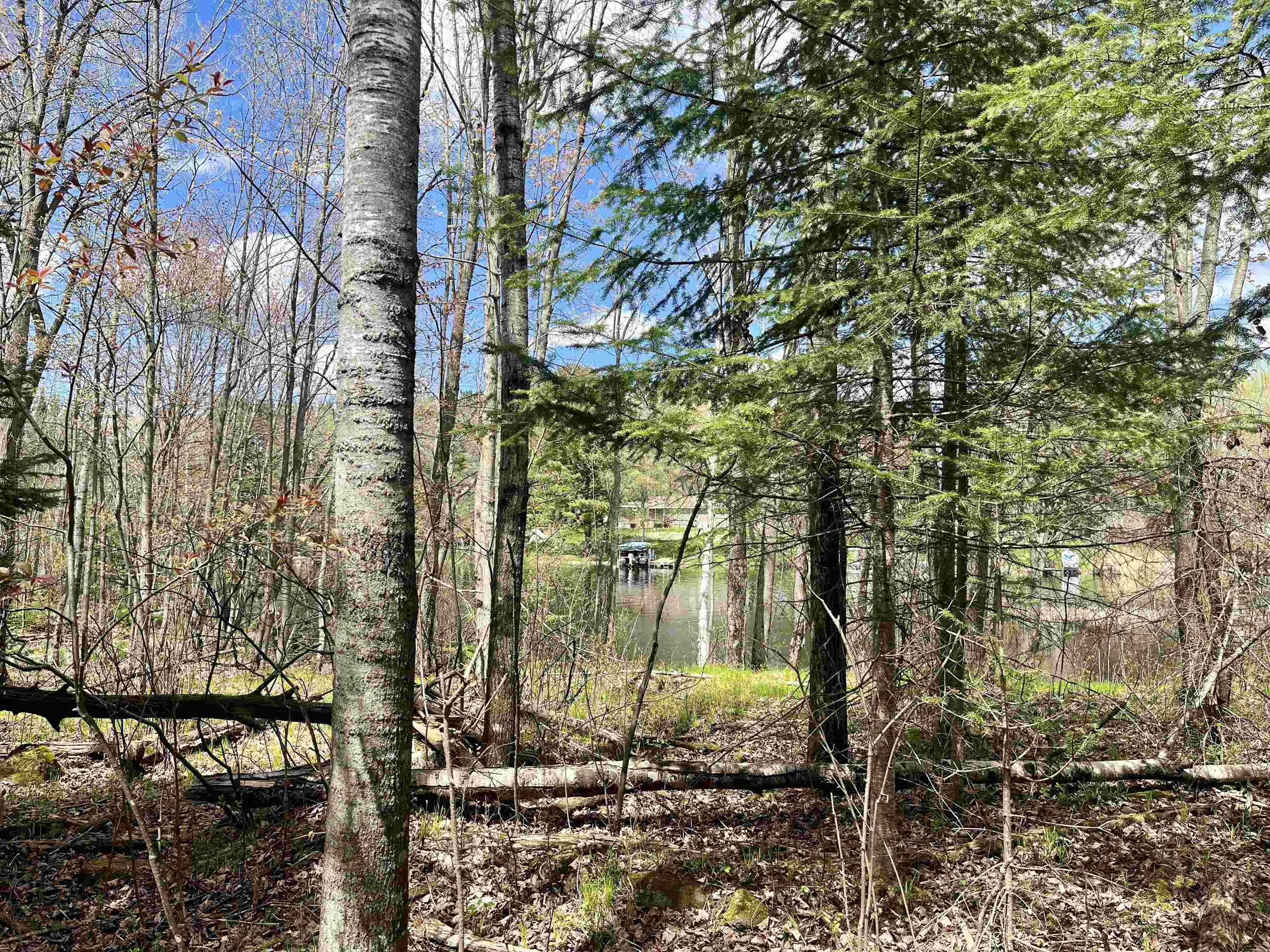 4.39 Ac On E Soo Lake Road Property Photo 3