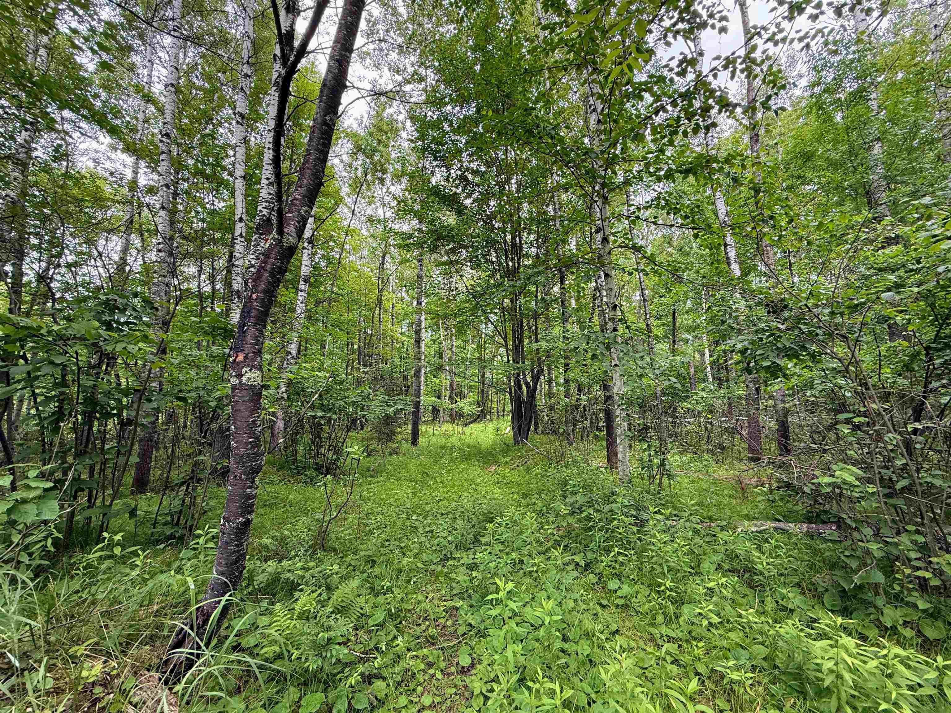 On E Soo Lake Road Property Photo 7