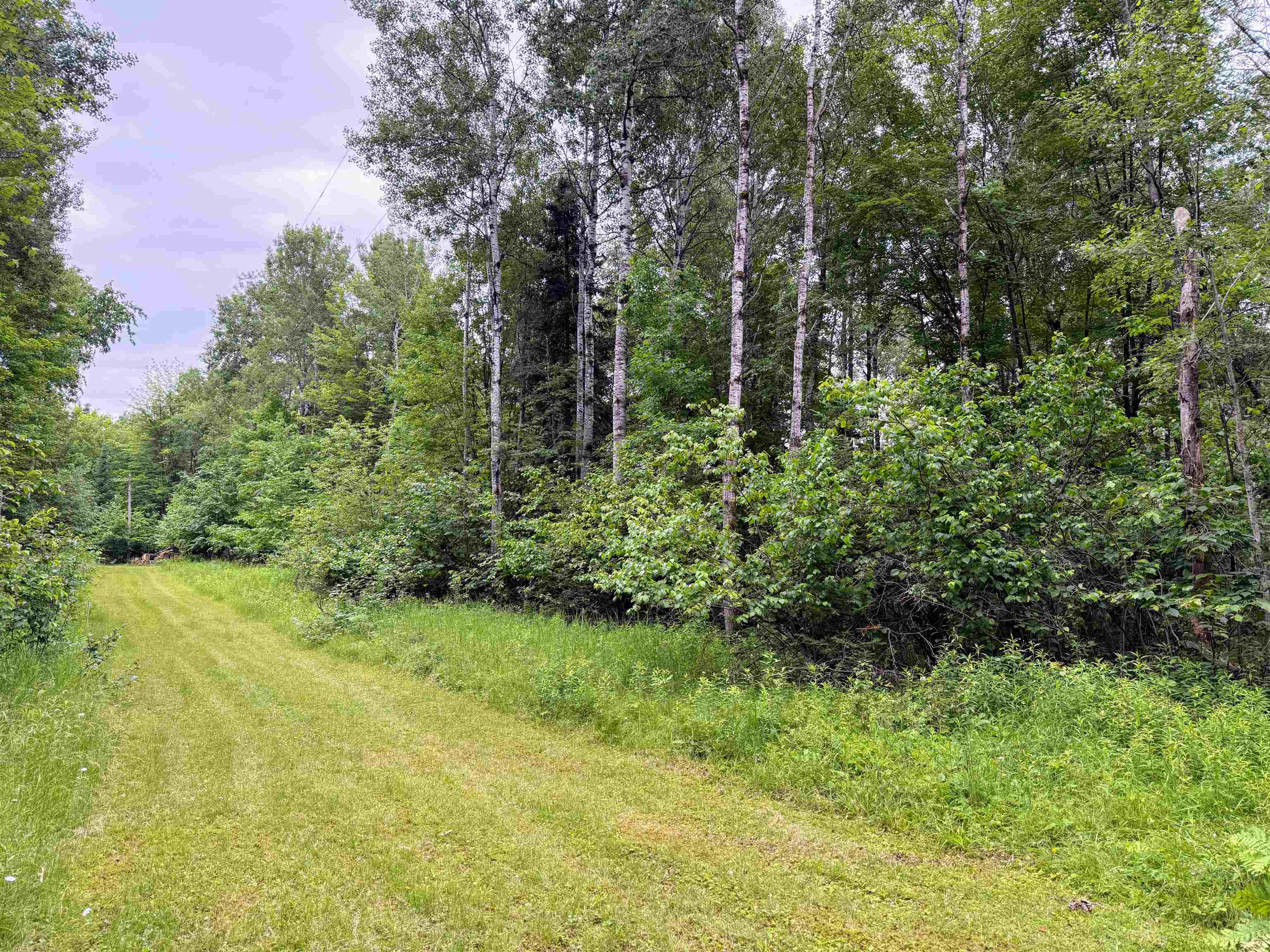 On E Soo Lake Road Property Photo 8