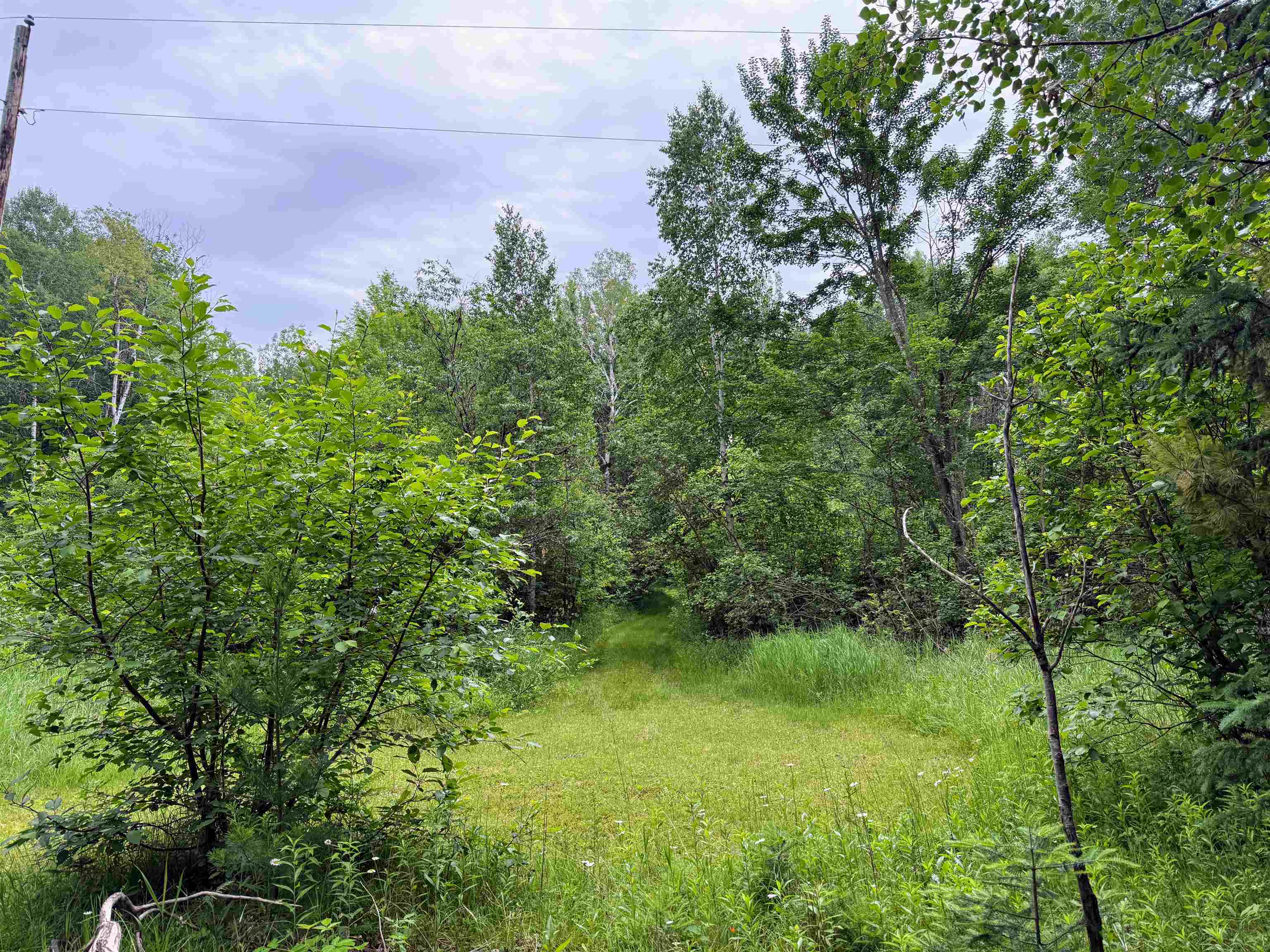 On E Soo Lake Road Property Photo 14