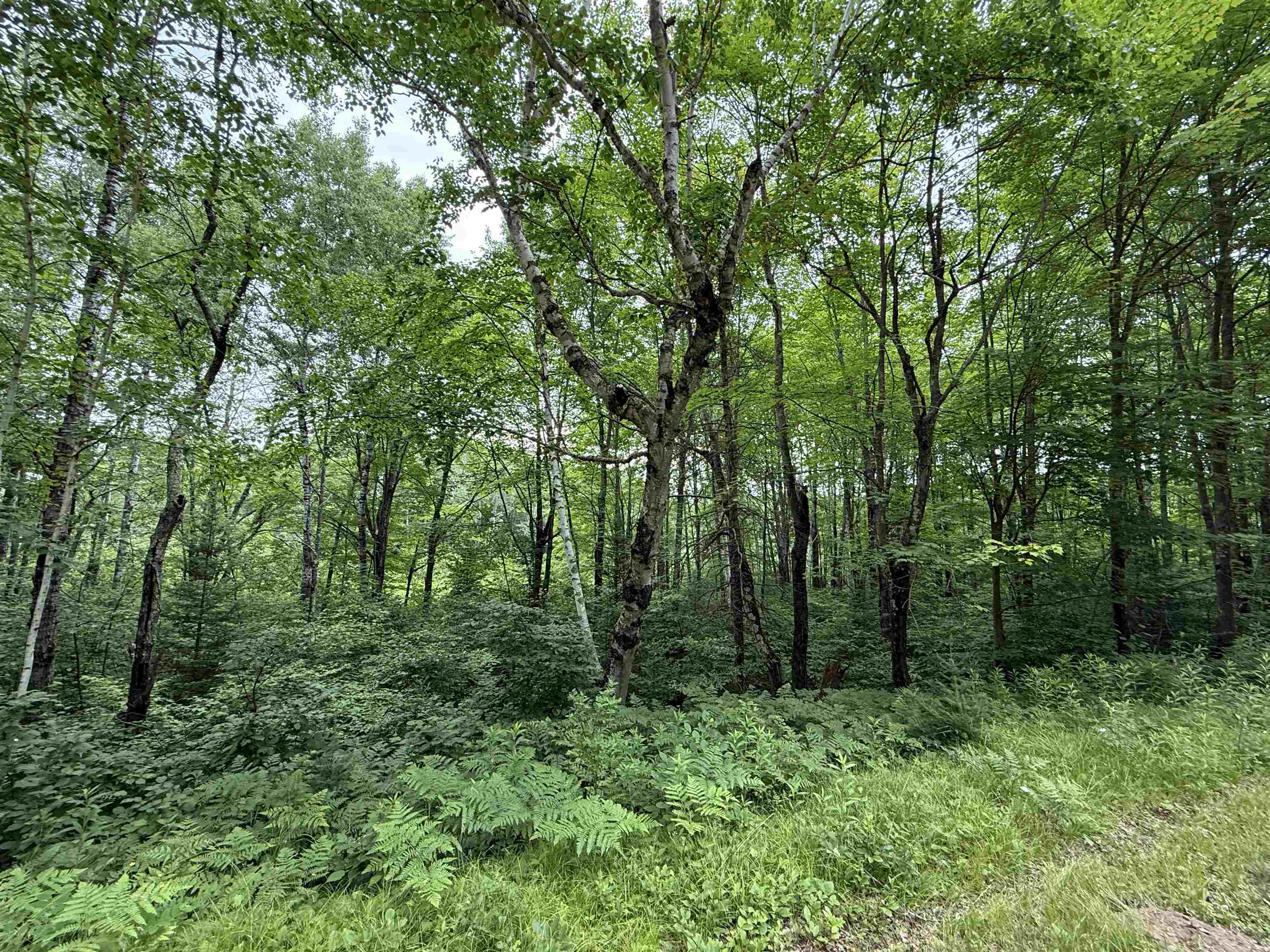 On E Soo Lake Road Property Photo 18