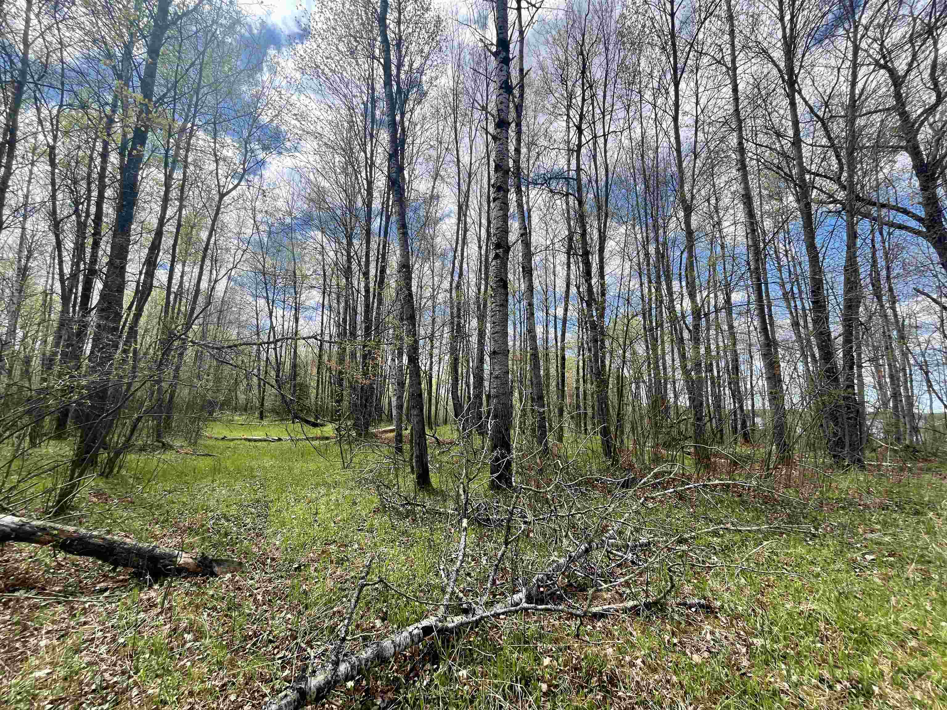 On E Soo Lake Road Property Photo 19