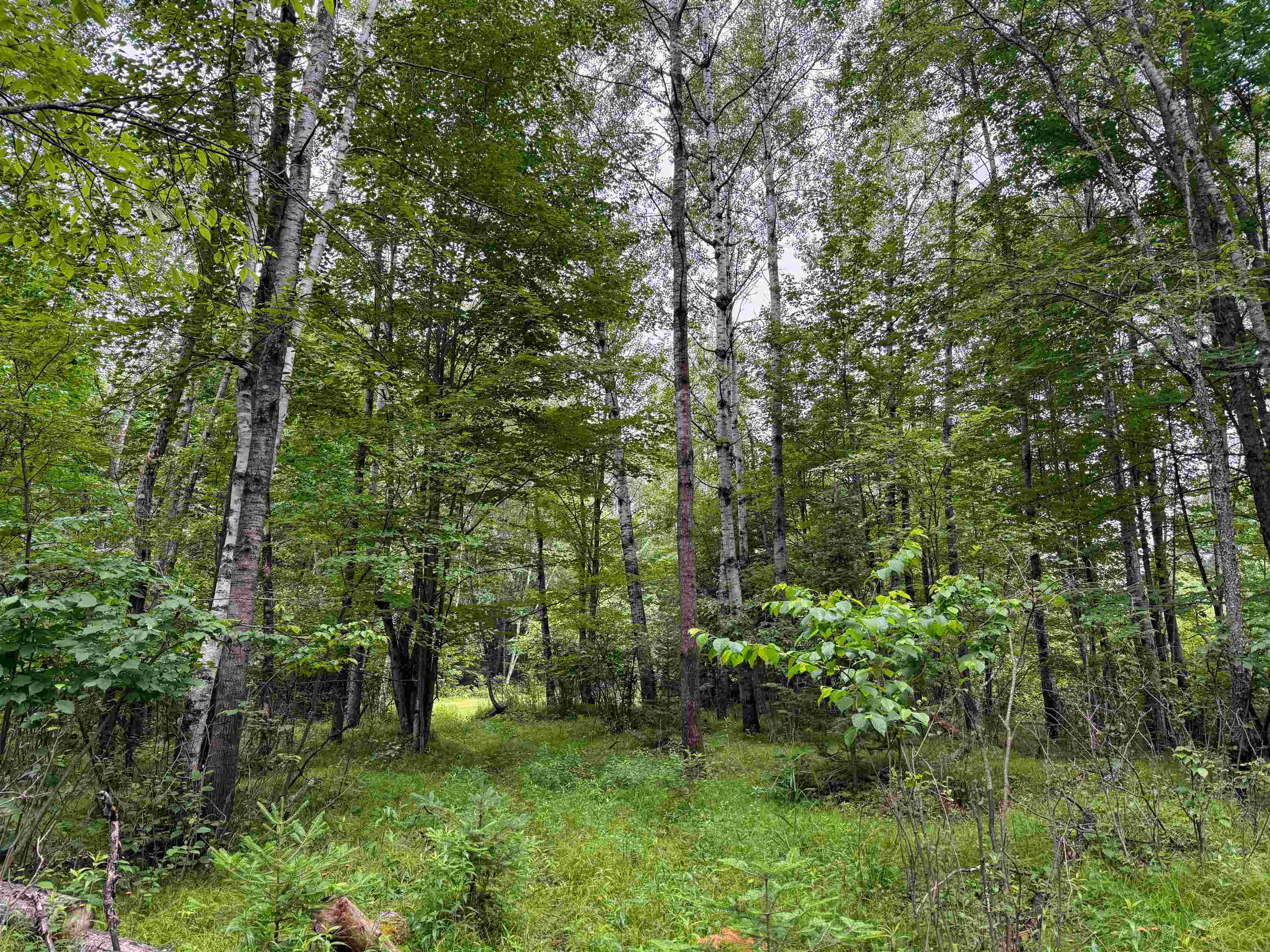 On E Soo Lake Road Property Photo 20