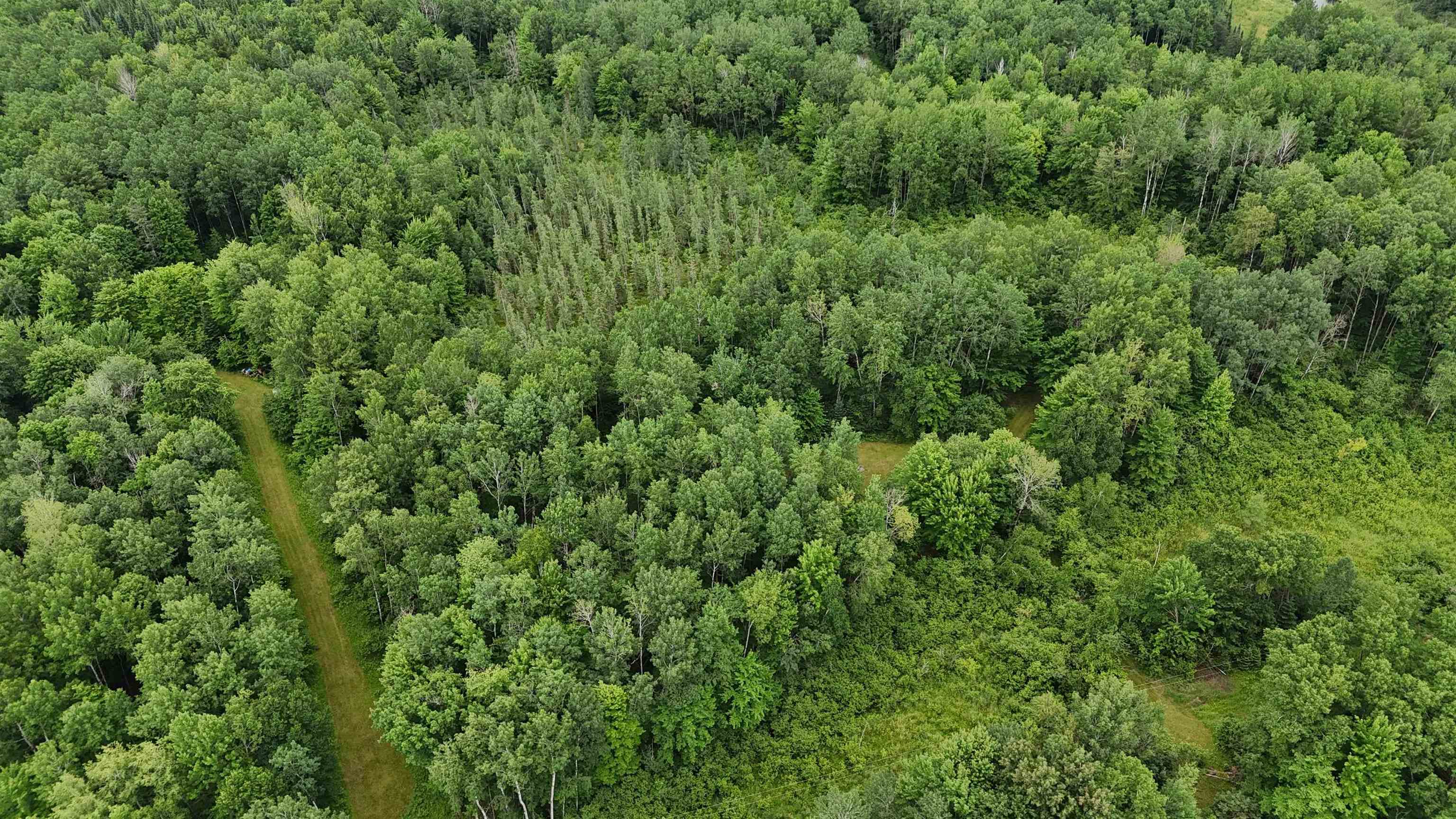 On E Soo Lake Road Property Photo 22