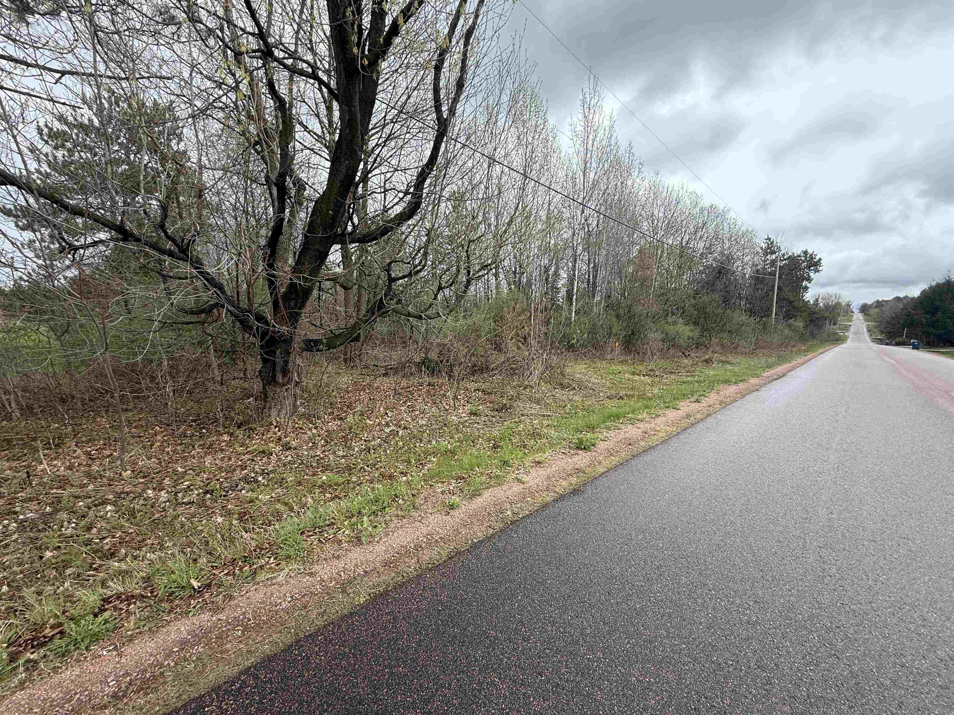 1 Acre Mol Merrill Avenue Property Photo 3
