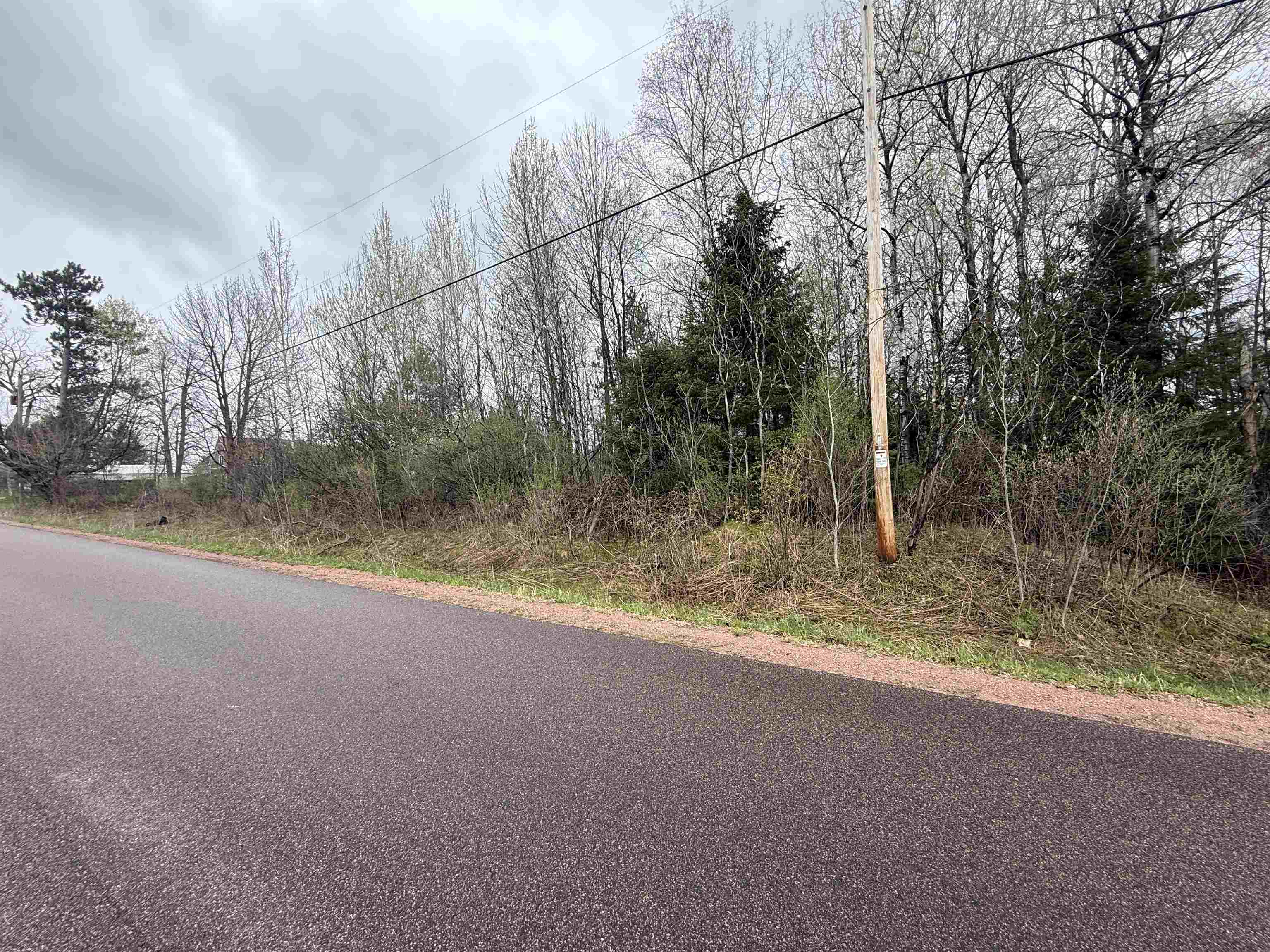 1 Acre Mol Merrill Avenue Property Photo 6