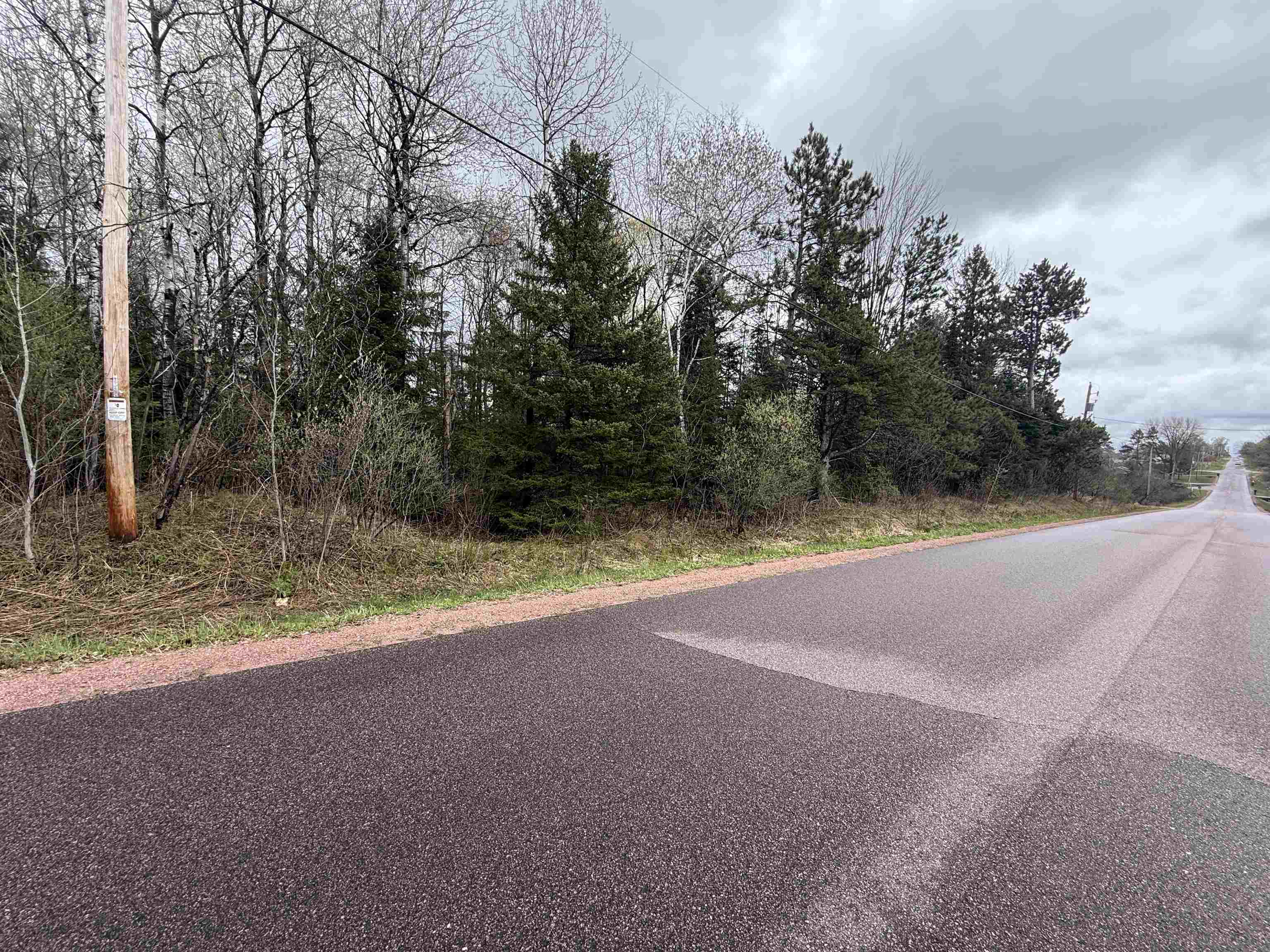 1 Acre Mol Merrill Avenue Property Photo 7
