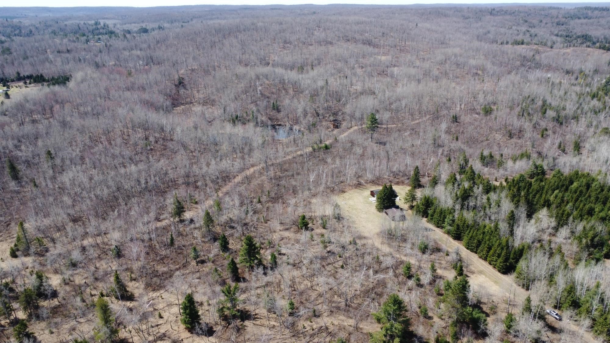 45 Acres Turtle Lake Road Property Photo 7