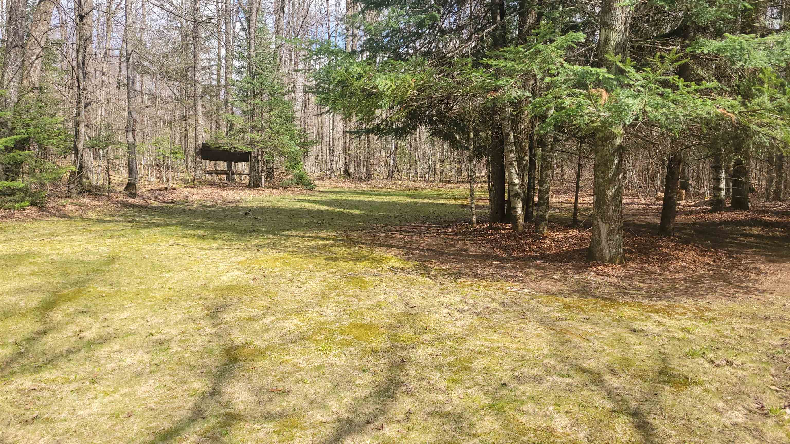N10803 Walleye Road Property Photo 25