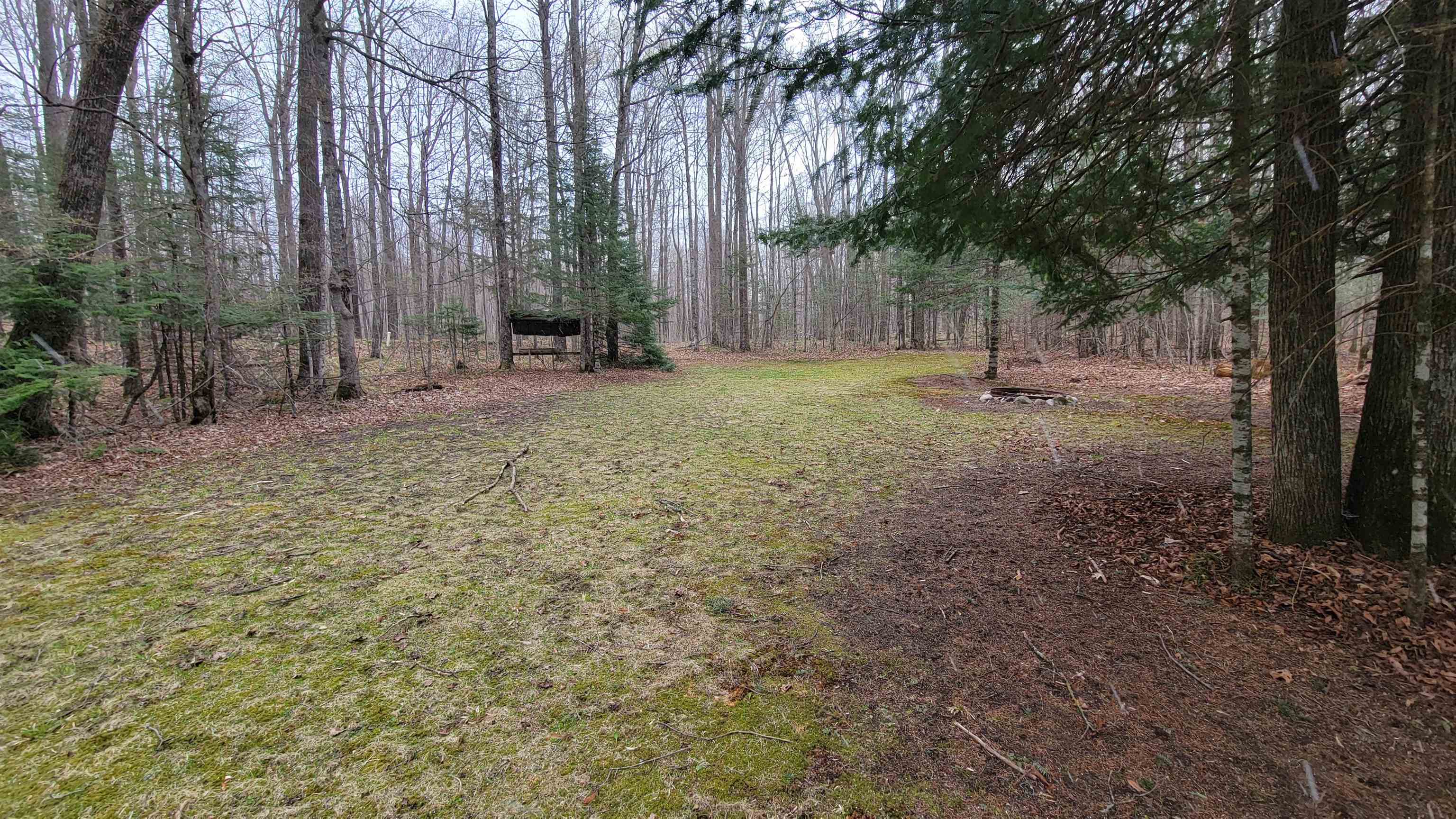 N10803 Walleye Road Property Photo 31