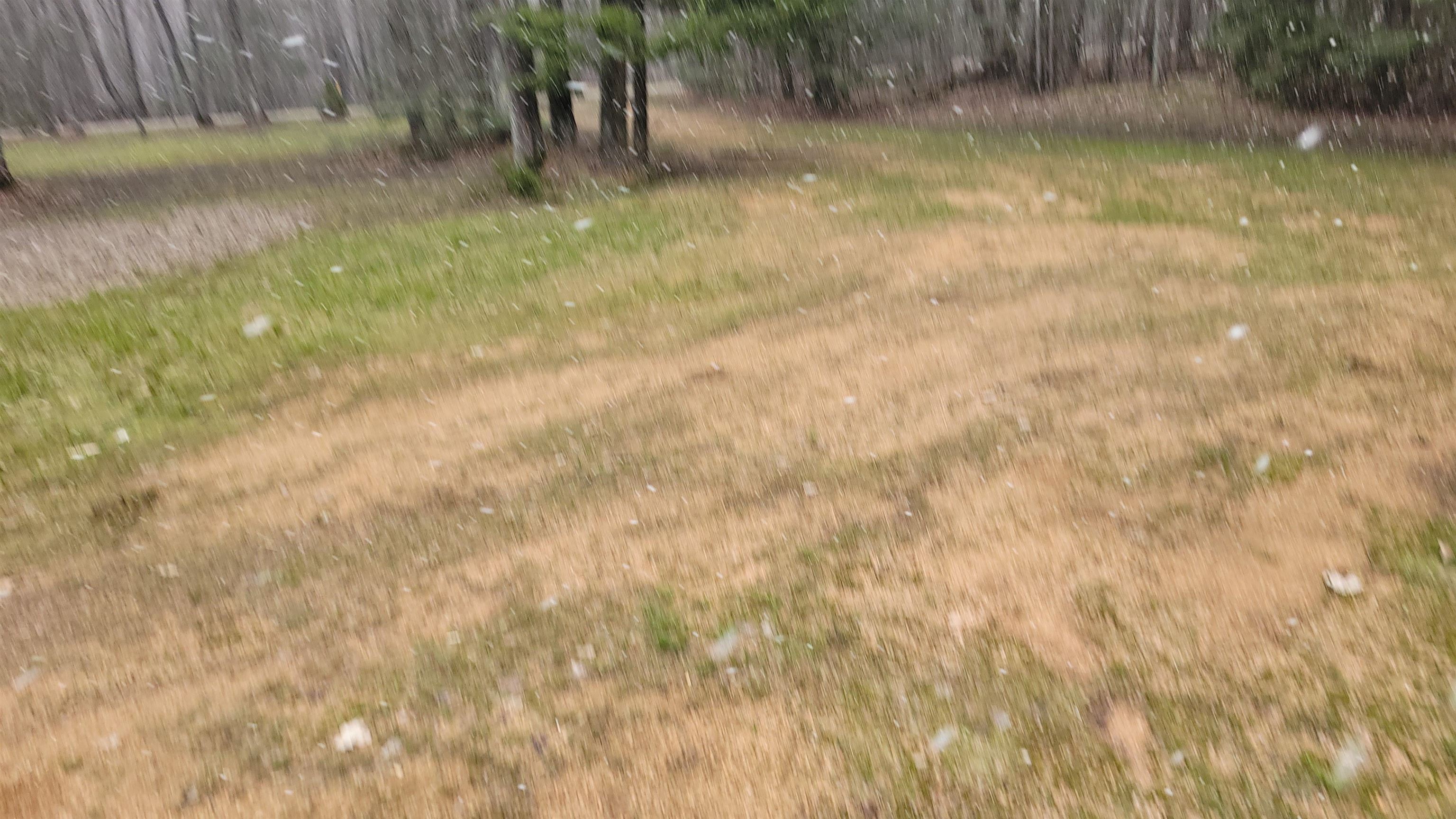 N10803 Walleye Road Property Photo 36