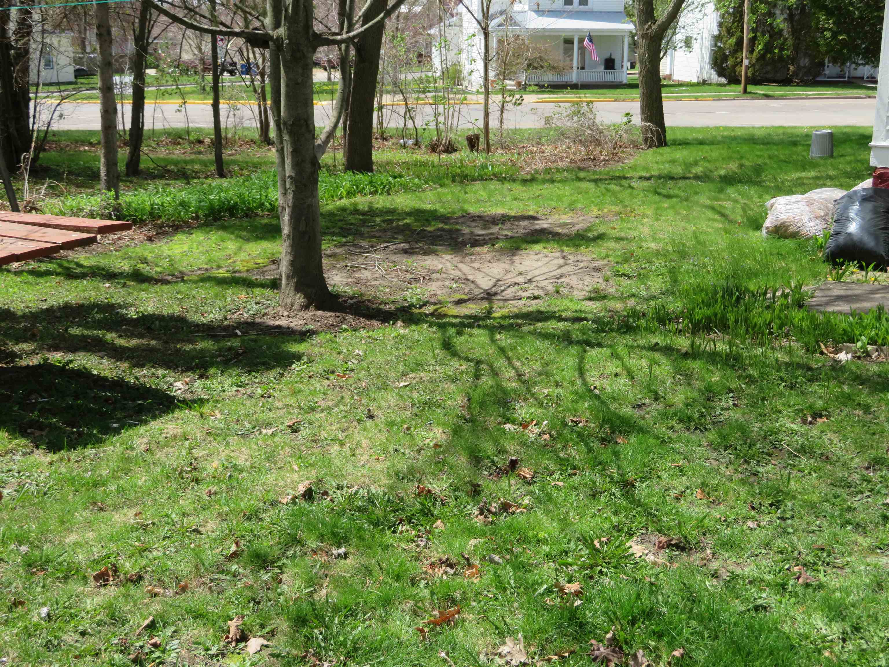 507 Cottage Street Property Photo 32