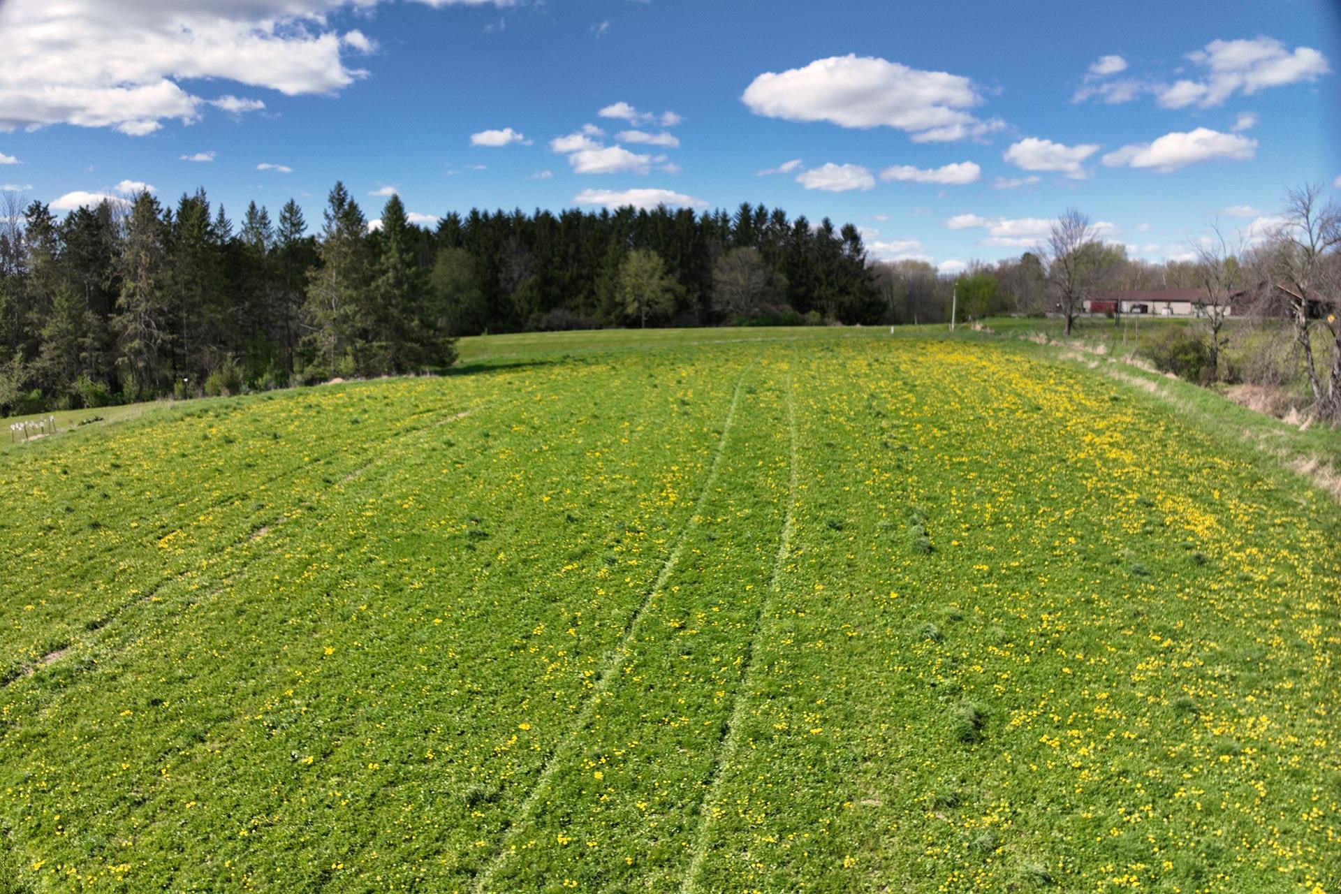 Lot 15 Rolling Hills Drive Property Photo 3