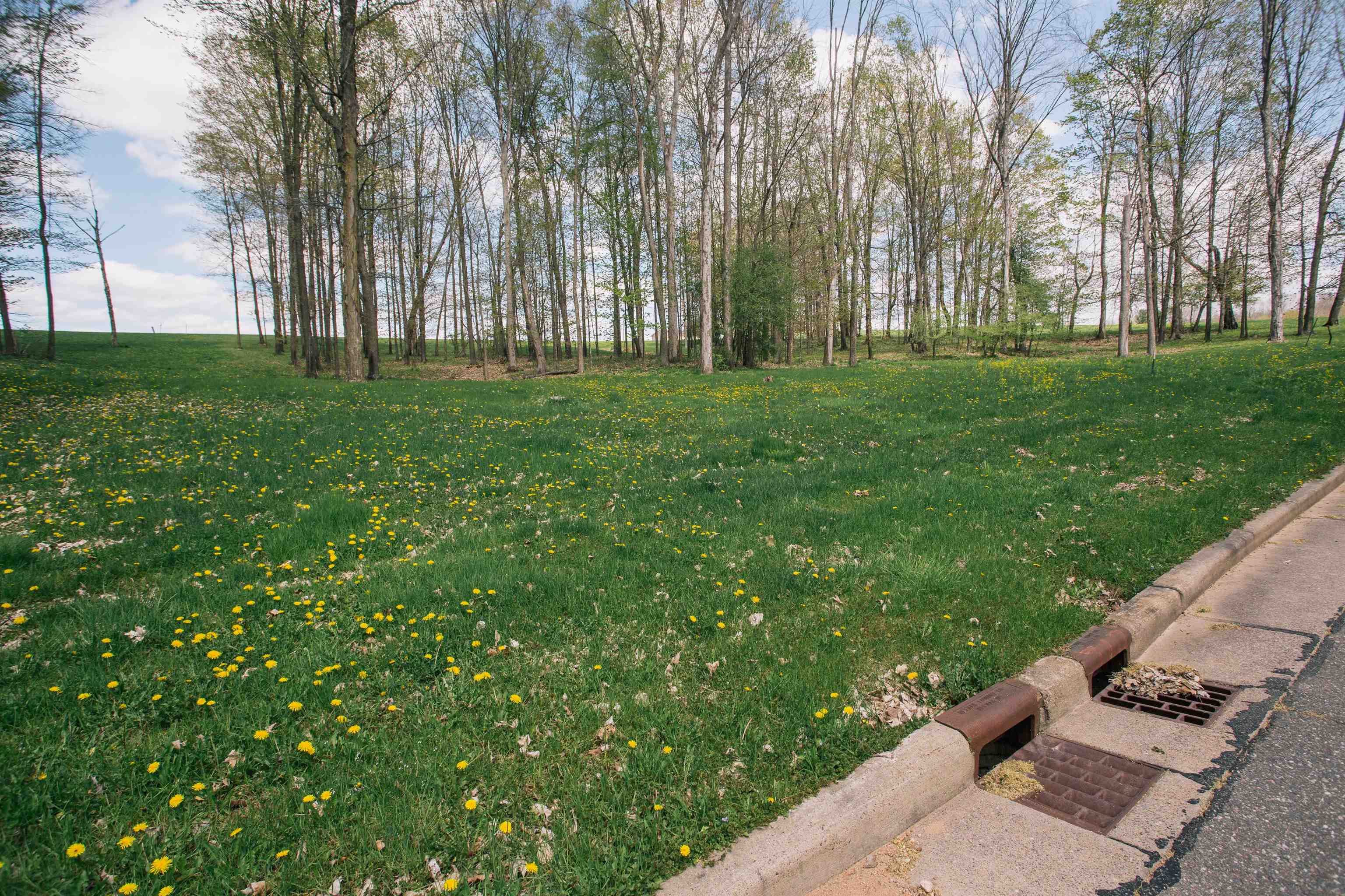 Lot 17 Sand Lane Property Photo 2