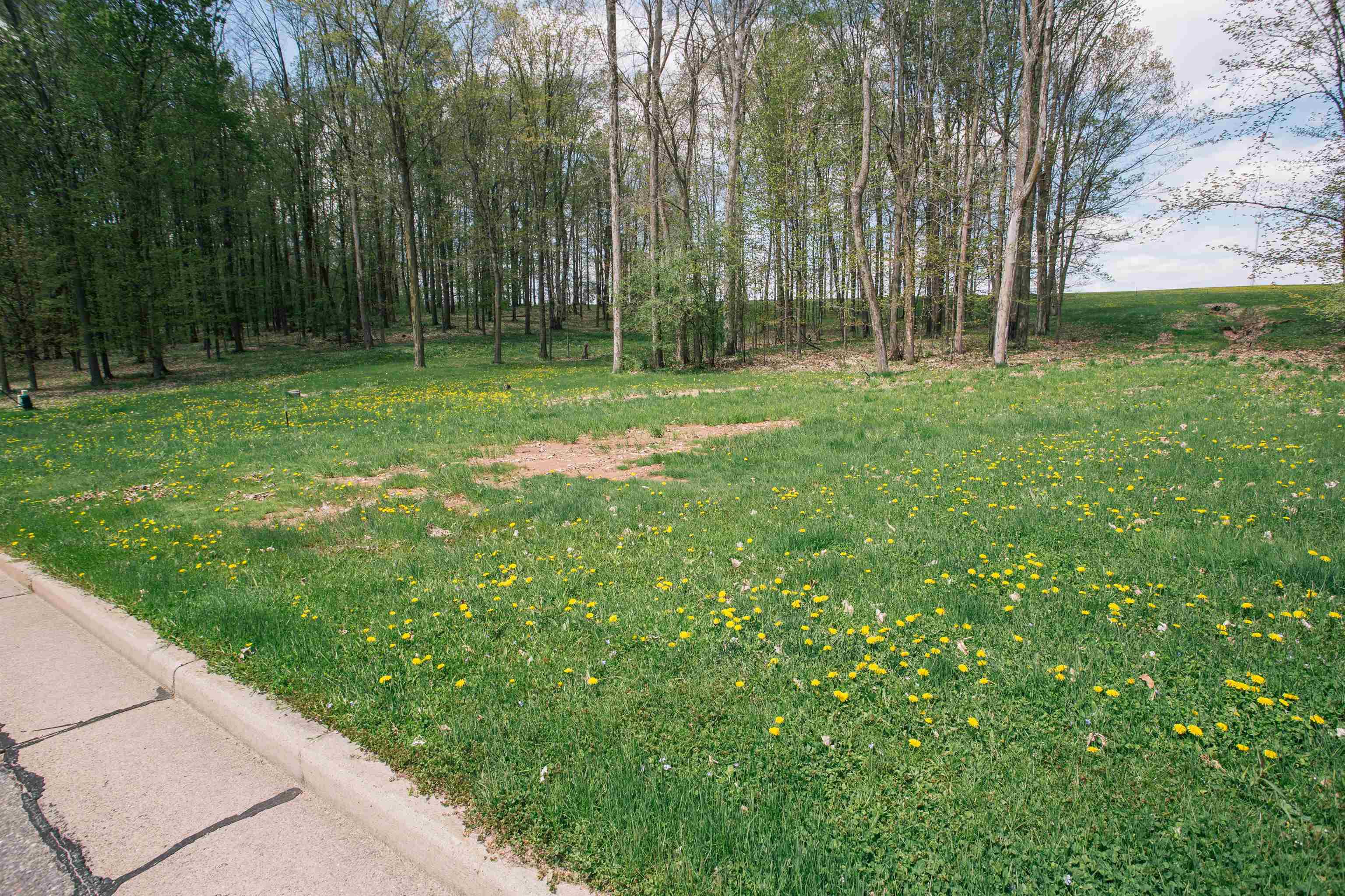 Lot 17 Sand Lane Property Photo 3