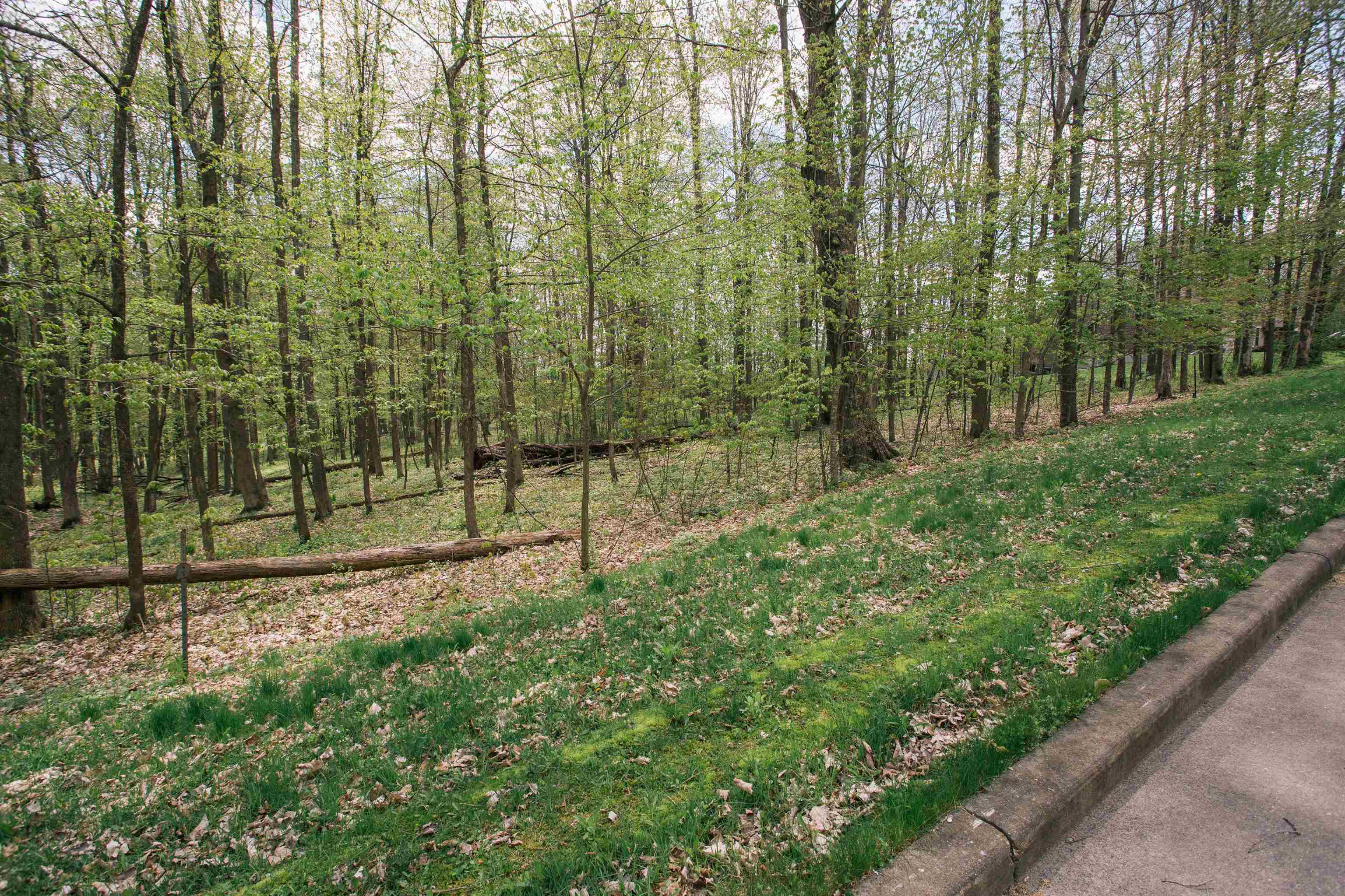 Lot 28 Sand Lane Property Photo 2