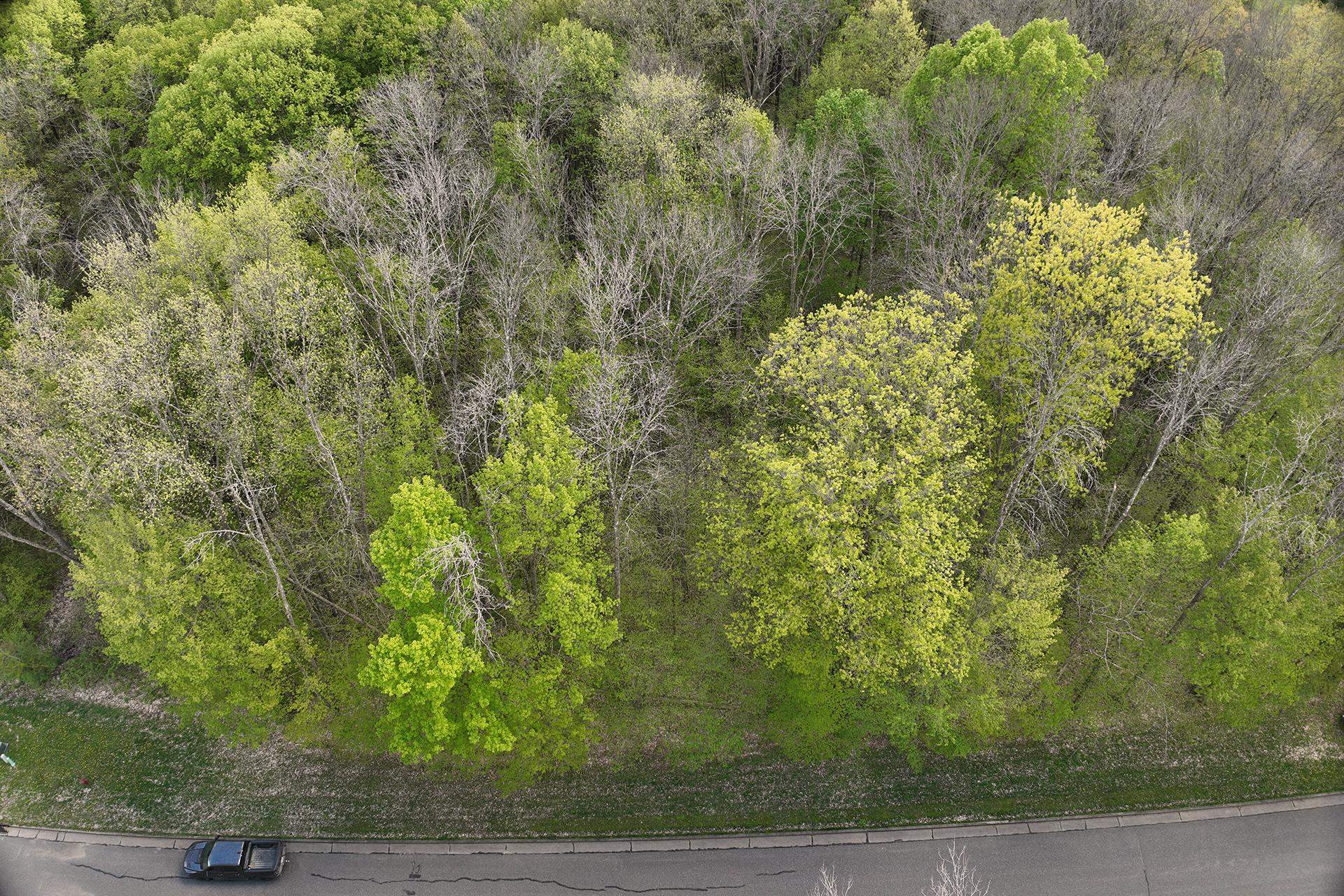 Lot 28 Sand Lane Property Photo 5